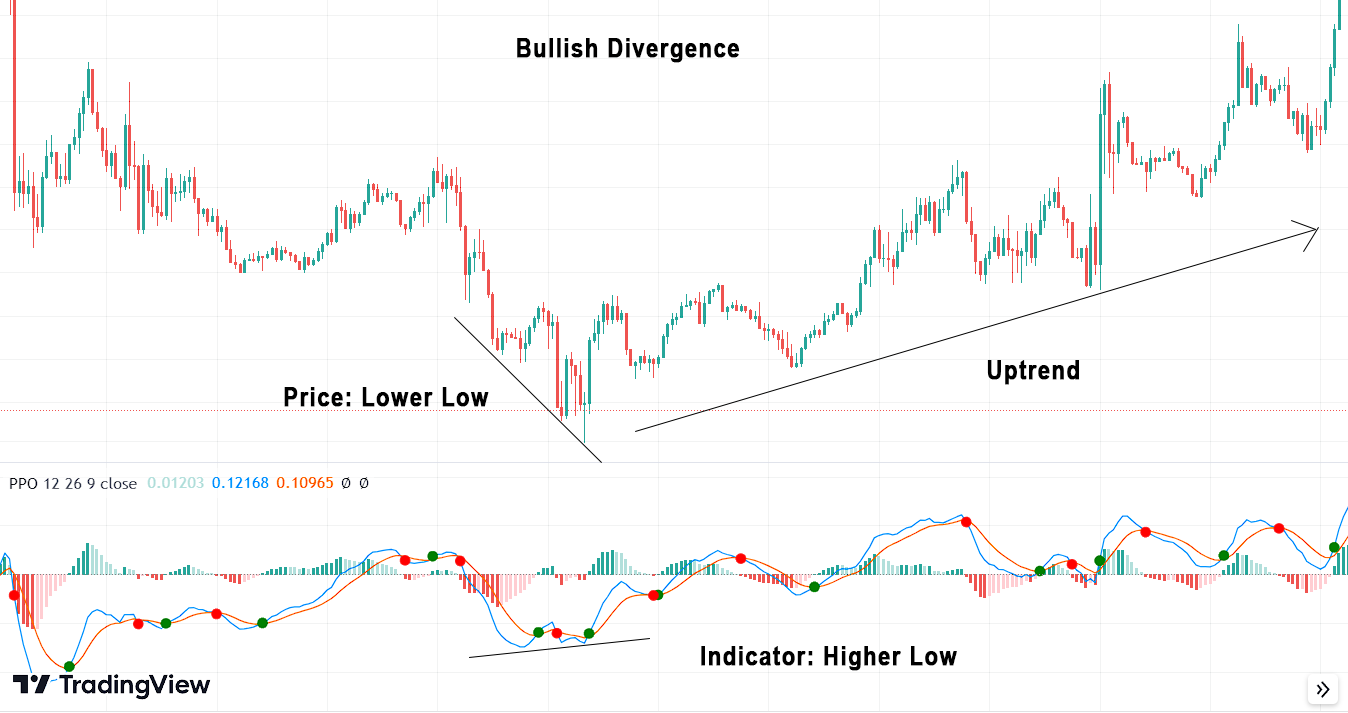 Percentage Price Oscillator (PPO) Bullish divergence