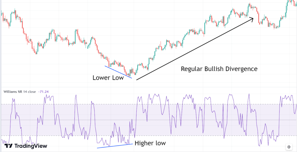 Williams %R (Williams Percent Range) Indicator Explained: A Step-by ...